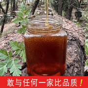 野生土蜂蜜纯天然无添加自产自销正宗纯蜂蜜木桶成熟深山百花原蜜