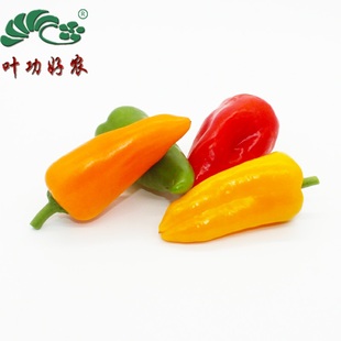 新鲜农产品蔬菜 水果椒 彩色辣椒 沙拉菜 甜椒 随机3色 500g