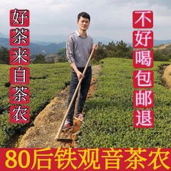 2021中国大陆新秋茶特级清散装袋装1725茶叶500g浓香型安溪铁观音