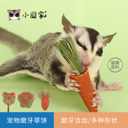 蜜袋鼯磨牙零食玩具金丝熊专用磨牙棒仓鼠磨牙神器花枝鼠造景装饰