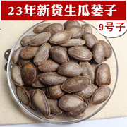 生瓜蒌子新货瓜蒌子，生的大颗粒，非吊瓜子9号籽7号安庆特产散装