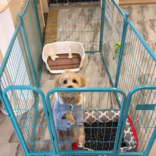 狗笼子中大型室内宠物栅栏宠物围栏中型狗笼泰迪金毛狗笼防护栏