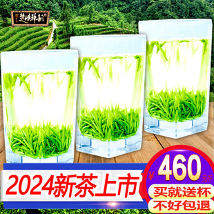 2024年新茶湖北宜昌五峰高山，芽毛尖头采嫩芽，绿茶散装茶叶