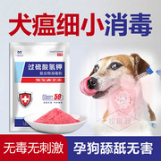犬舍专用消毒液过硫酸氢钾消毒剂猫瘟犬瘟细小消毒液宠物猫狗消毒