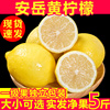 四川安岳黄柠檬(黄柠檬)新鲜9斤现摘皮薄一级香水，鲜柠檬鲜果奶茶店专用6
