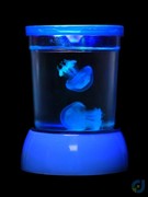 水母发光杯水母瓶迷你水母活物宠物赤月倒立观赏水母鱼缸儿童套餐