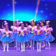 六一儿童纱裙演出服女童蓬蓬连衣裙幼儿可爱舞蹈快乐小星星表演服