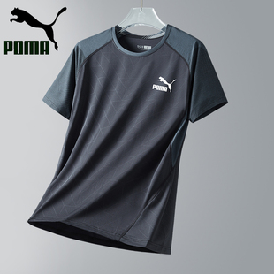 品牌2024短袖T恤男士冰丝速干跑步运动体恤夏季宽松t恤服