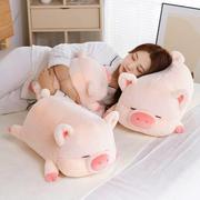 情人节送女生礼物猪猪公仔毛玩具抱枕娃娃儿童陪睡玩偶床上0202h