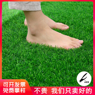 仿真草坪假皮人工造绿地毯，垫塑料网格，铺垫足球场装饰消音围挡足球