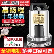 上海人民，12v24v48v60v72v直流潜水泵抽水泵电瓶车，刷车电动车2寸