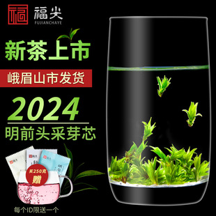 苦丁茶特级小叶苦丁茶2024新茶叶(新茶叶)四川青山绿水米芽