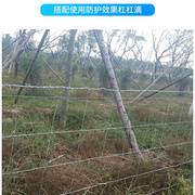 镀锌铁丝网牛栏网养殖防护网隔离网格养牛羊钢丝护栏网果园围栏网