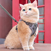 猫咪牵引绳防挣脱外出专用溜猫绳，宠物背带链子可调节网红遛猫神器