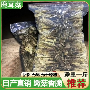 鹿茸菇干货500g鹿茸菌，新鲜营养商用脆蘑菇，野生菌干香菇土特产特级