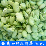 蚕豆米云南特产蔬菜现摘去皮绿心嫩青胡豆米，蚕豆新鲜罗汉豆角仁