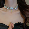 珍珠2024年锆石项链女轻奢小众锁骨链水晶宝石项圈颈链高级感