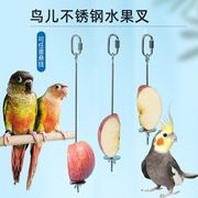 8玖-鹦鹉鸟用水果叉鸟笼配件鸟具用品画眉八哥水果夹喂食器不锈钢