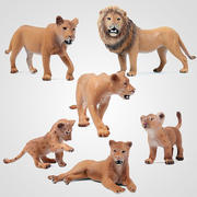 狮群野生猫科动物公仔手办狮子玩具仿真雄狮母狮摆件塑胶模型非洲