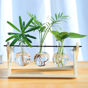 护眼水培植物玻璃瓶水养桌面摆件宿舍办公室室内绿植小型盆栽绿萝