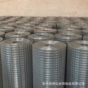 电焊钢丝网养殖镀锌铁丝网抹墙保温金属，电焊网