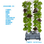 无土栽培设备立柱式家庭阳台种植蔬菜室内水培蔬菜水耕立体水培菜