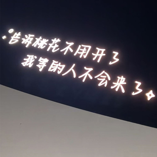 告诉桃花不用开了车贴我等的人不会来了汽车后窗反光装饰文字贴纸