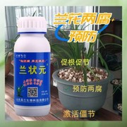 兰花茎腐克星兰状元菌剂兰花营养液西装哥促根促芽