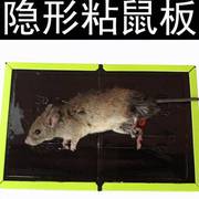皇猫8张装老鼠贴强力粘鼠板黏鼠胶抓老鼠捕鼠器家用耗子胶