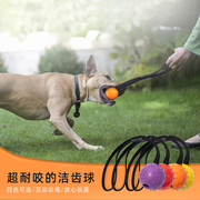 带绳弹力球狗狗训练耐咬橡胶球，小型中型大型犬马，犬边牧磨牙玩具球