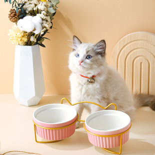 陶瓷猫碗高脚护颈双碗架防打翻宠物猫狗食盆水碗倾斜保护颈椎