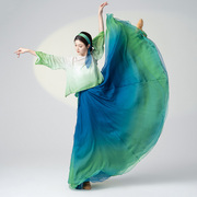 中国舞舞蹈服孔雀舞身韵纱衣古典舞服装女演出服飘逸大摆裙套装仙