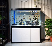 中大型鱼缸水族箱客厅，家用超白玻璃生态，下过滤鱼缸