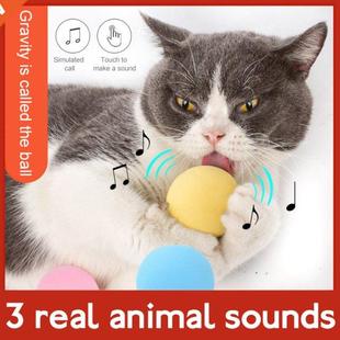 Smart Cat Toy Interactive Ball Catnip Cat Training Toy Pet P