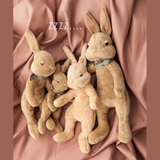 困困可聪兔彼得兔，毛绒玩具讲故事过家家陪睡玩偶不掉毛小巧便携