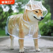 修狗雨衣专用大小中型犬雨披，防水宠物透明夏季透明狗狗雨衣遮风雨