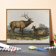 手绘填色diy数字油画，山羊老虎大角鹿创意客厅，装饰画动物世界风景