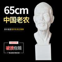 中国老农石膏，头像65cm素描，教具