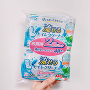 日本进口卫生间马桶座便清洁湿巾可厕冲除菌去污湿纸巾24枚×2包