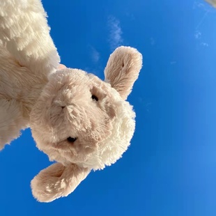 英国jELLYCAT波浪毛小羊害羞小羔羊狮子大象安抚玩具公仔玩偶送礼