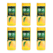 韩国进口饮料饮品，lotte乐天芒果汁整箱，240ml*6瓶饮料
