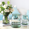 简约现代玻璃花瓶透明插花瓶北欧美式客厅餐桌轻奢家居电视柜摆件