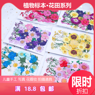 天然干花diy材料创意压花书签，真树叶植物标本押花滴胶手机壳化妆