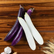 湖南紫色长茄子大茄子，紫茄子农家，自种现摘当季新鲜蔬菜整箱5斤装