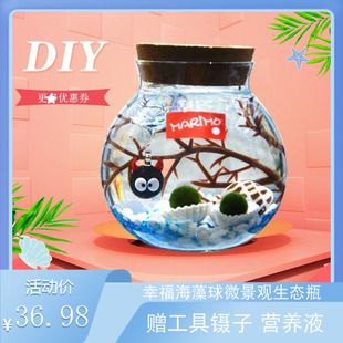 marimo幸福海藻球微景观，生态瓶水培，迷你小植物创意diy礼物玻璃瓶
