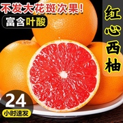 福建西柚新鲜红心新鲜水果259斤孕妇，水果含叶酸奶茶店专用