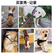 马犬藏獒脖圈土狗金毛犬狗套防勒耐咬牵引绳套头项圈绳子脖子萨摩