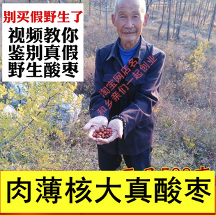 沂蒙山正宗野生酸枣500克小山枣小红枣粒，泡水非酸枣仁茶酸枣核胡