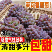 茉莉香葡萄新鲜当季孕妇水果5斤郁金香无籽红提子玫瑰香葡萄