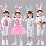 六一儿童兔子演出服小白兔动物表演服幼儿园兔子舞蹈纱裙服装